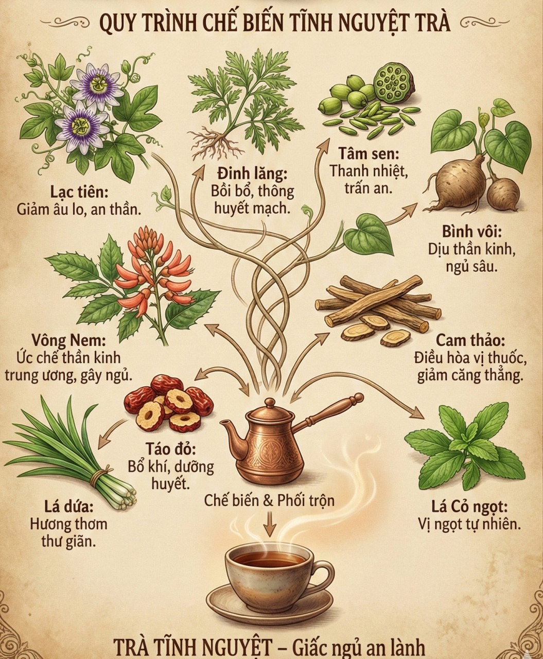 9 Loai Thao Moc Tinh Nguyet Tra